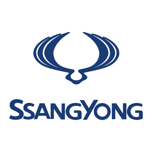 SSANGYONG ΚΑΘΙΣΜΑΤΑ