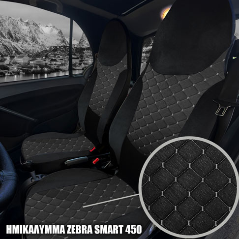 SMART 450 ZEBRA