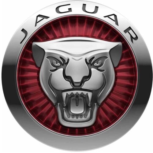 JAGUAR ΚΑΘΙΣΜΑΤΑ